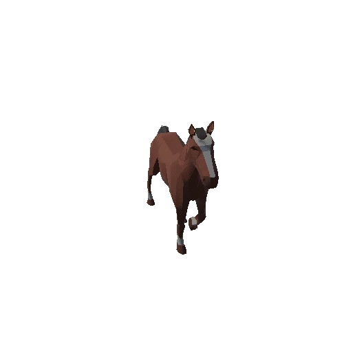 HorseAnimations 1